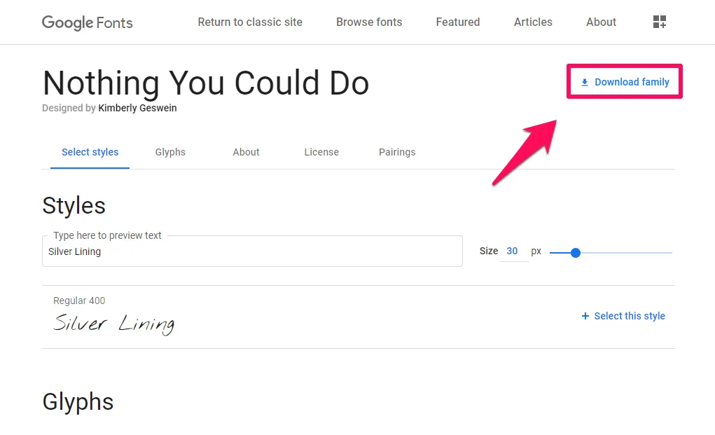 Google Fonts